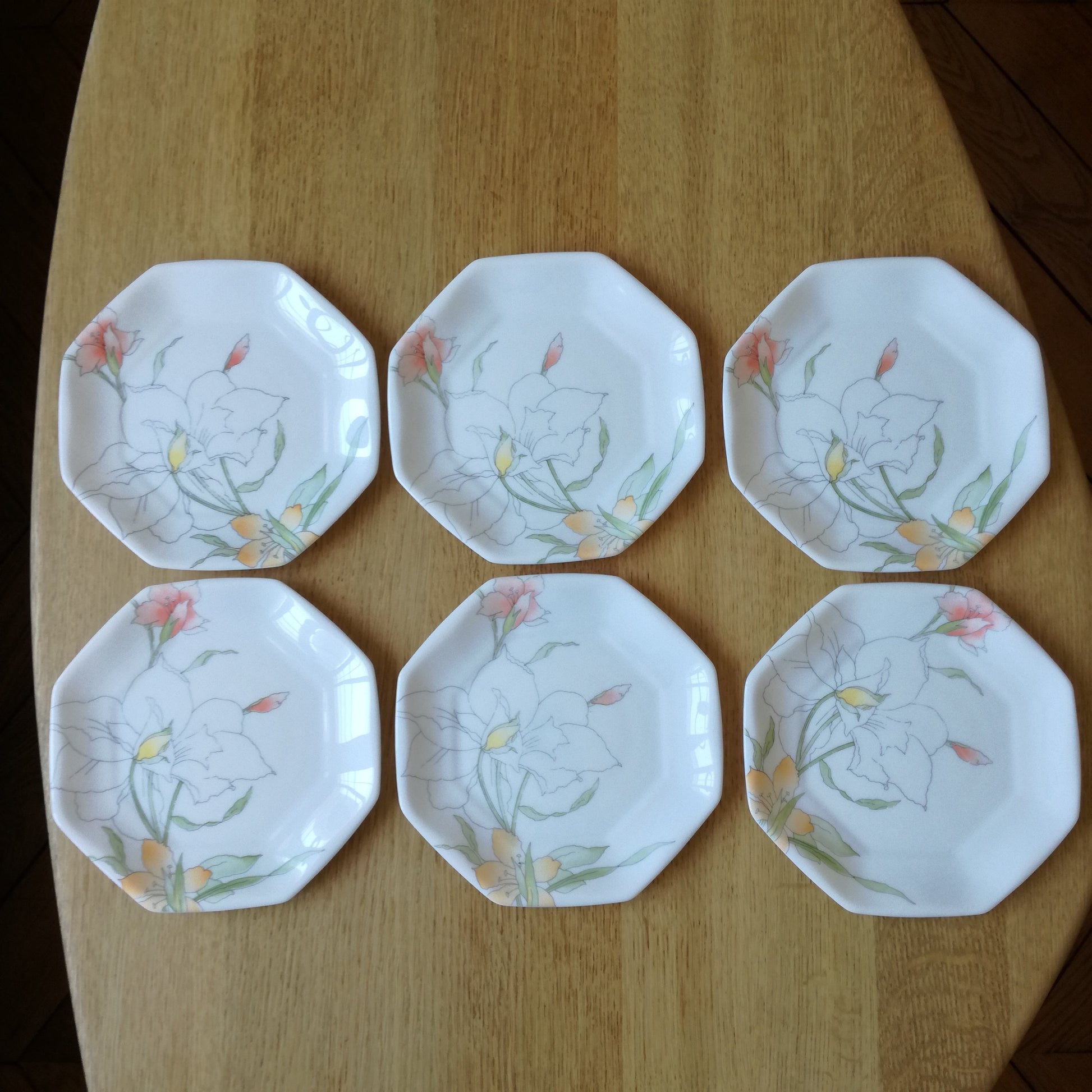 Lot37 De 6 Grandes Assiettes Plates Arcopal France Décor Floral Polluy D 245 Cm Imgx1200 3349 Lot37 De 6 Grandes Assiettes Plates Arcopal France Décor Floral Polluy D 245 Cm Imgx1200 3349