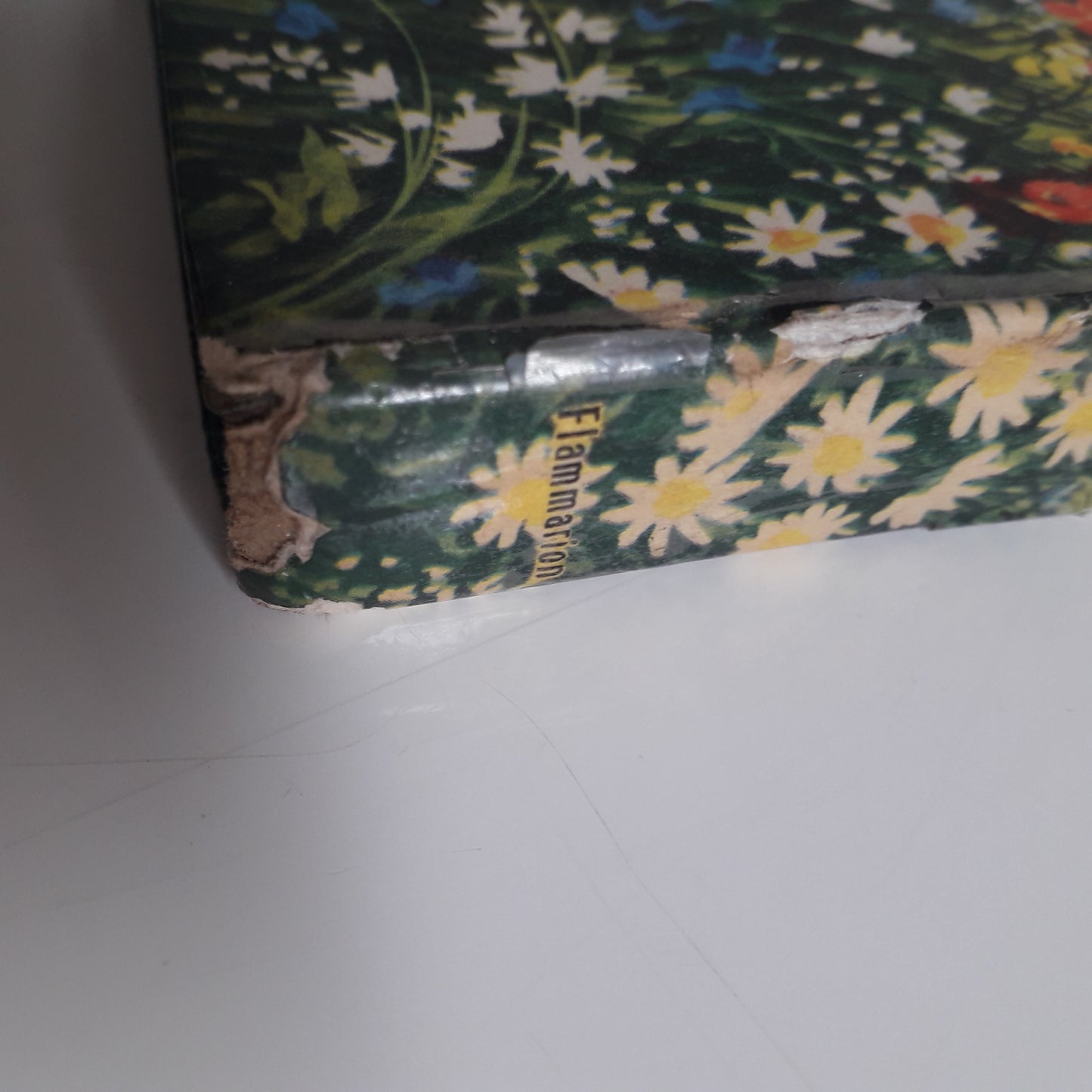 Livre de poche  Flammarion