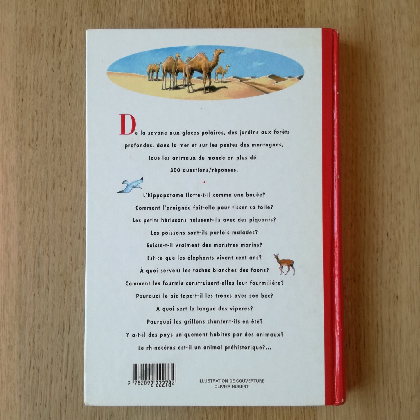 Livre jeunesse  Nathan