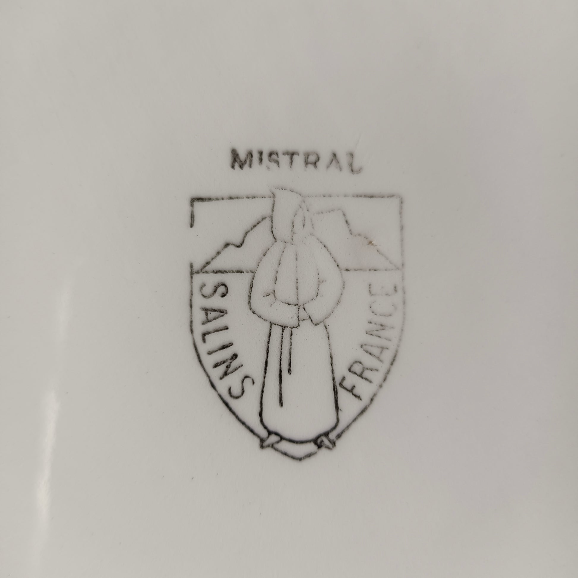 Plat Mistral Salins