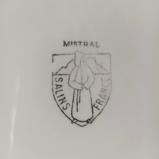 Plat Mistral Salins