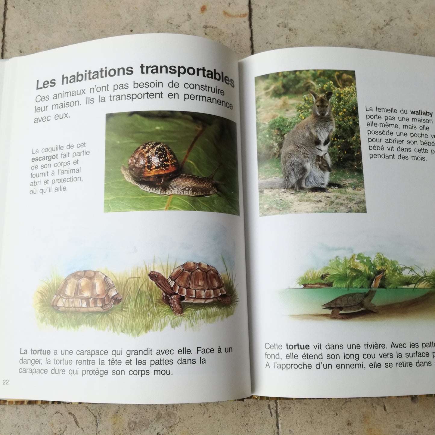 Livre jeunesse Le monde animal Hemma