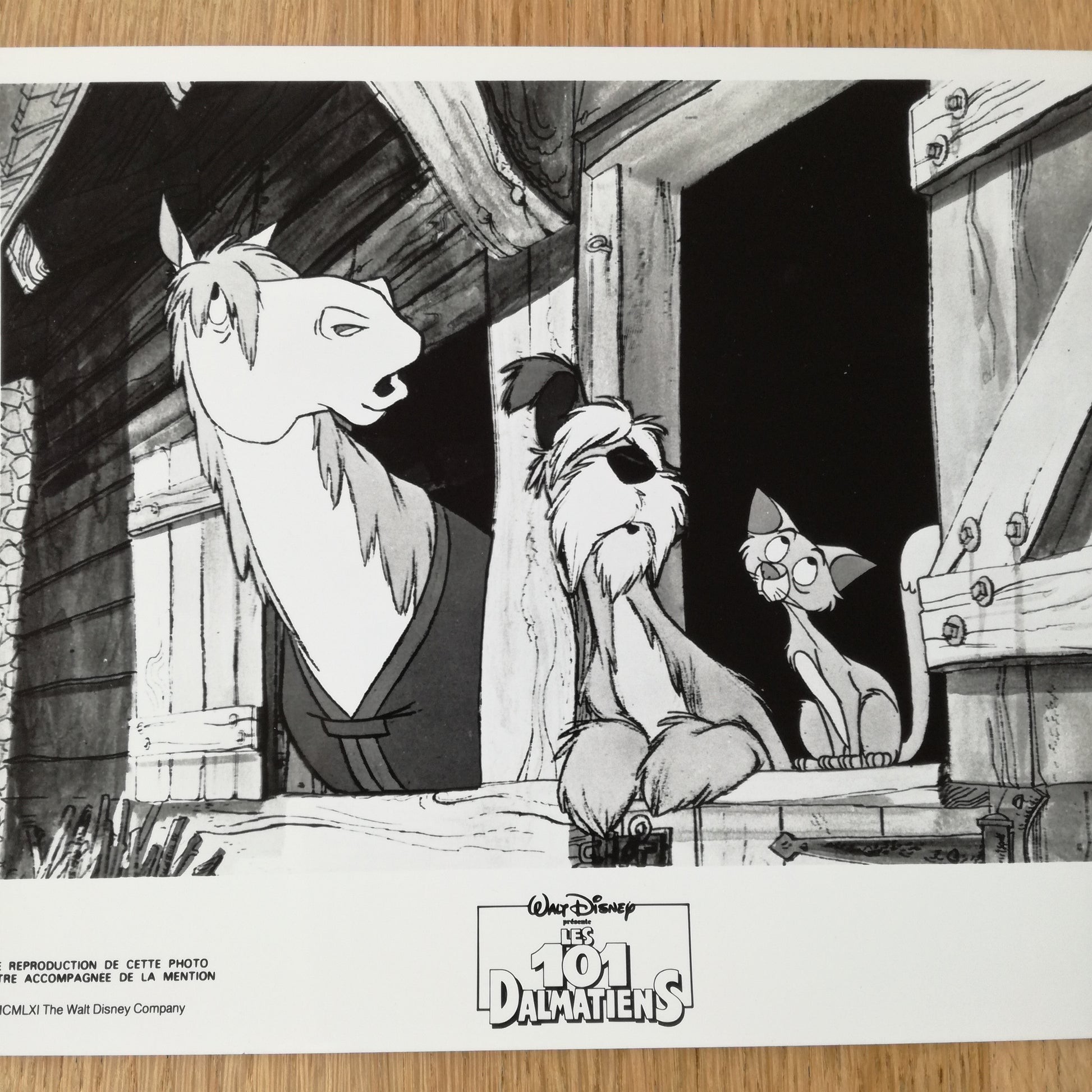 Photographie  Walt Disney
