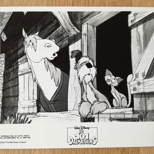 Photographie  Walt Disney