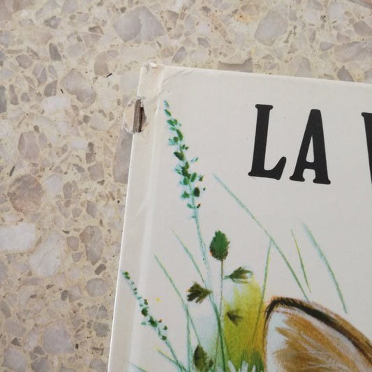 Livre jeunesse Jeunes années Bias