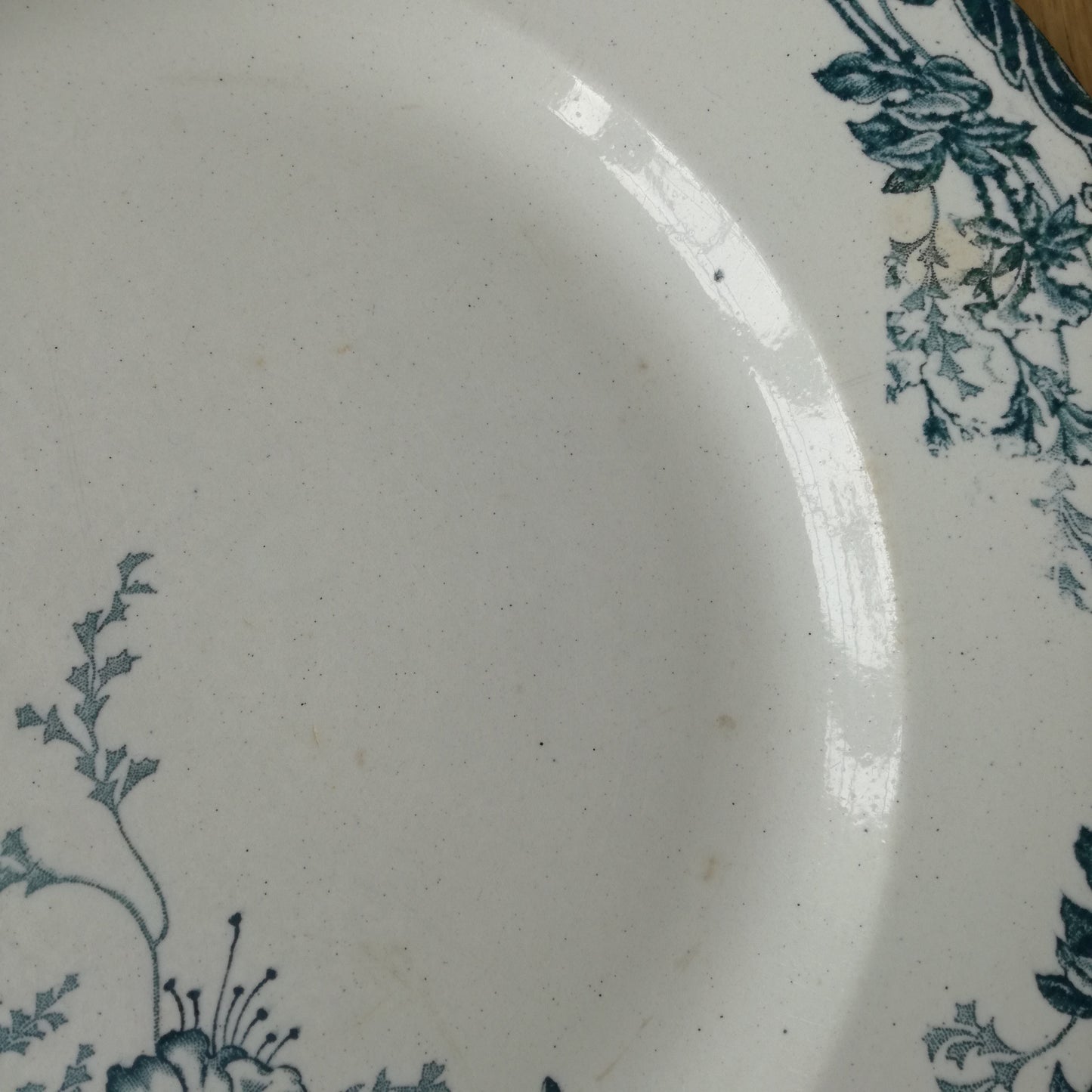 Plat Azalées Longwy