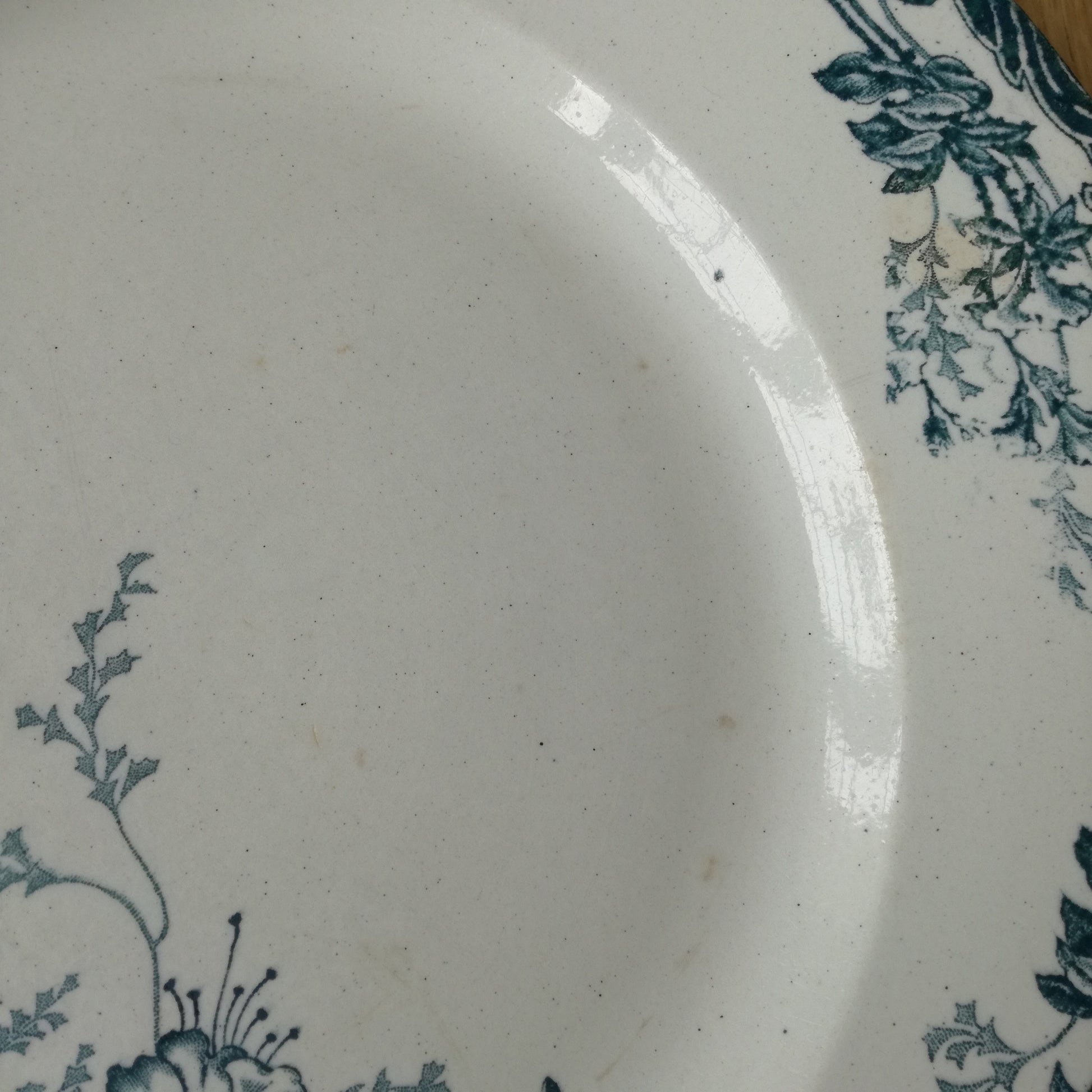 Plat Azalées Longwy