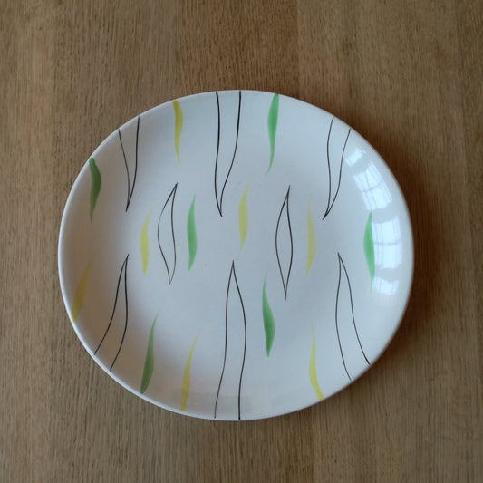 Plat Mistral Salins