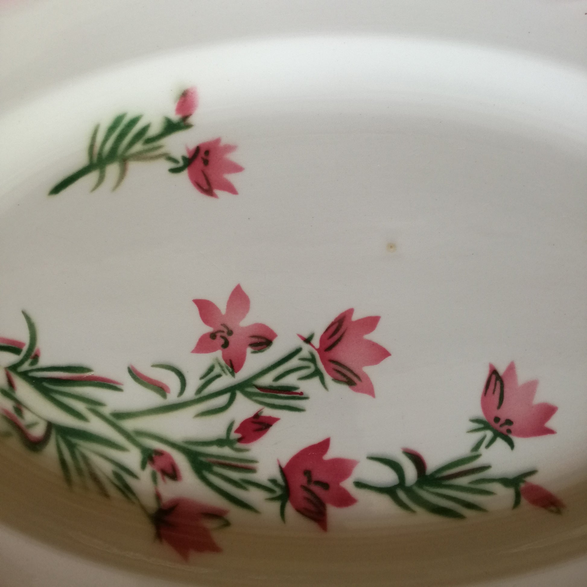 Plat ovale Aude Digoin & Sarreguemines