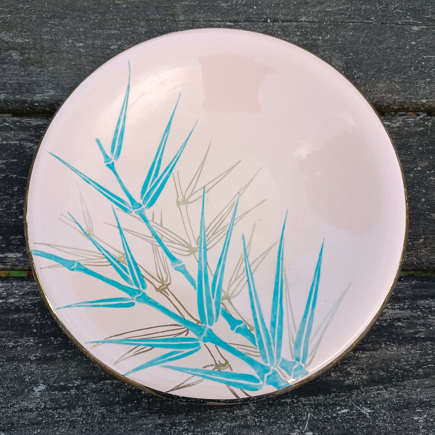 Plat  Digoin & Sarreguemines
