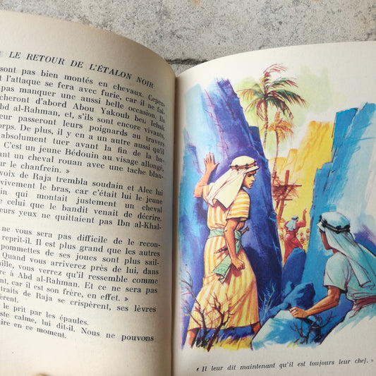 Livre jeunesse Bibliothèque Verte Hachette