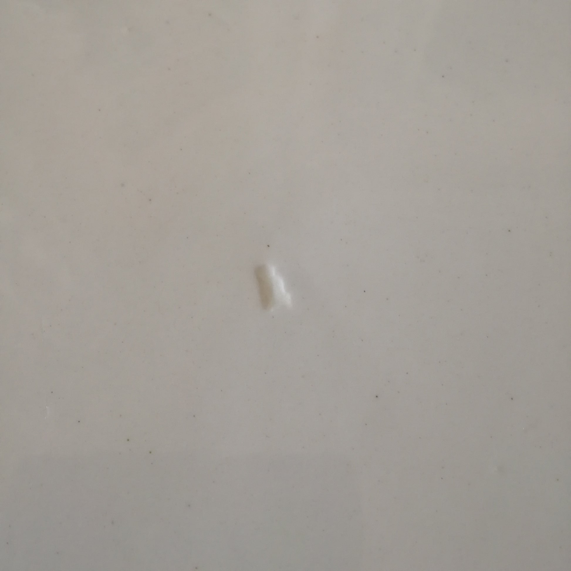 Plat Rocaille Salins