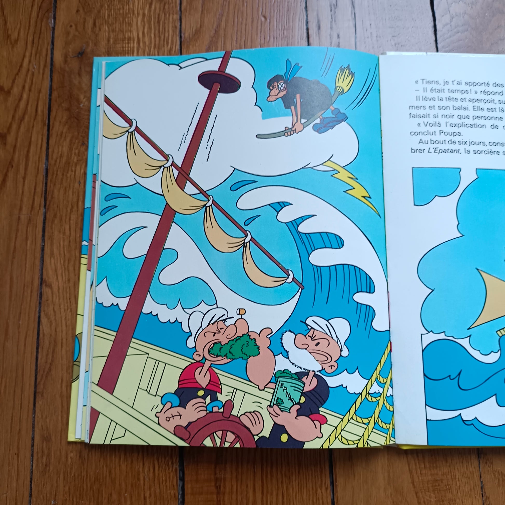 Livre jeunesse Télé-Librairie Deux Coqs d'Or