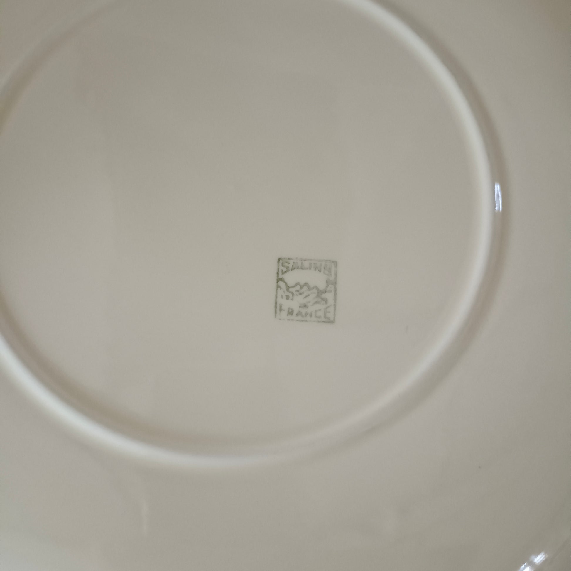 Plat  Salins