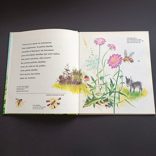 Livre jeunesse Un Album Coccinelle Fernand Nathan