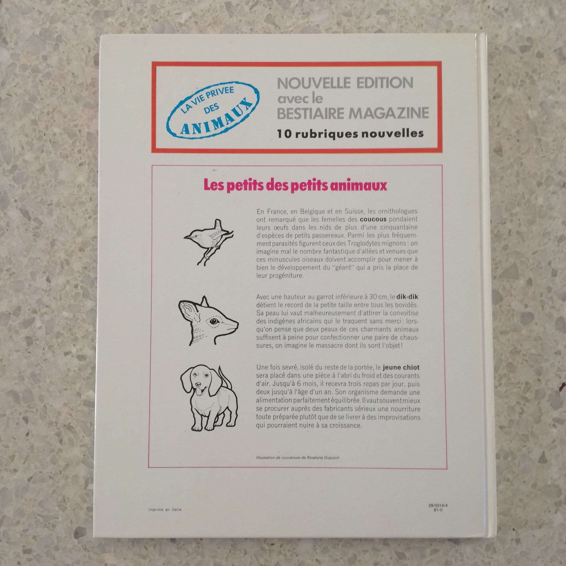 Livre jeunesse La vie privée des animaux Hachette